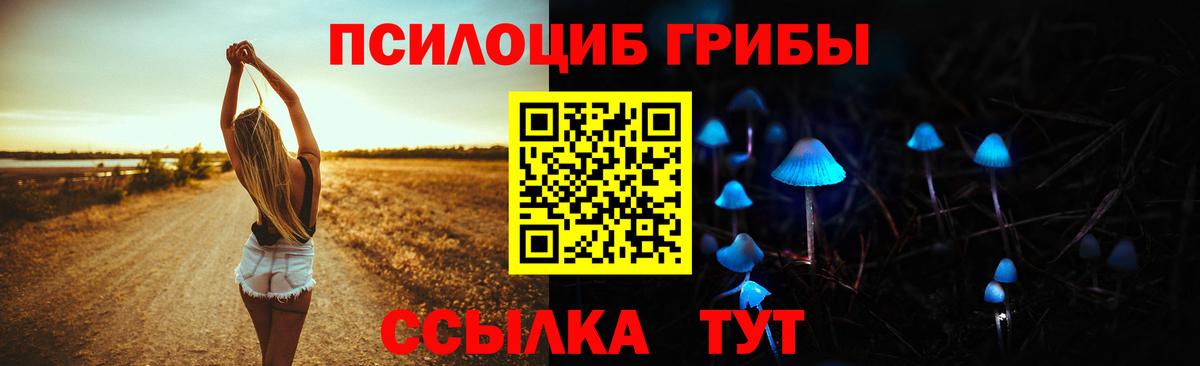 Ишимбай  Галлюциногенные грибы прущие грибы  купить наркотики сайты  Вход с VPN 